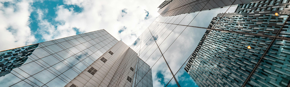 Pangea testimonial with GLP full width image Pangea testimonial with GLP full width image